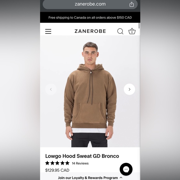 Zanerobe Lowgo Hood Sweat GD Bronco - Picture 1 of 3